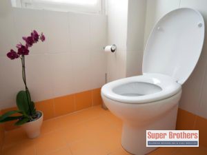 TOILET INSTALLATION