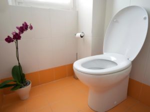 TOILET INSTALLATION