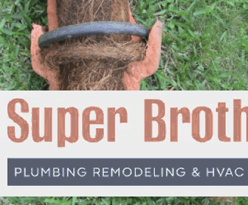 tree roots inside clay sewer pipe