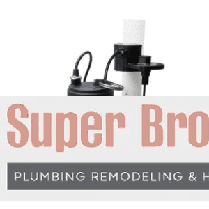 Solid handling pumps