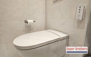 wall mounted toilet