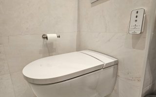 wall mounted toilet