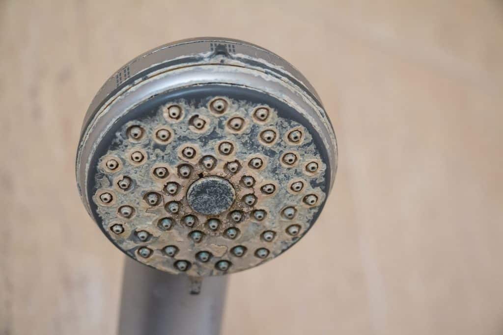 hard water stains on the shower head