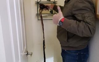 tree roots in sewer pipe