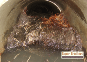 Blocked Sewer Line