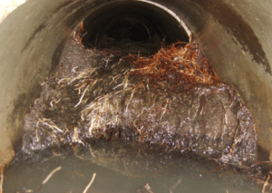 Blocked Sewer Line