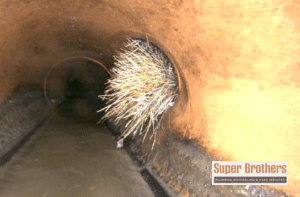 Blocked Sewer Line