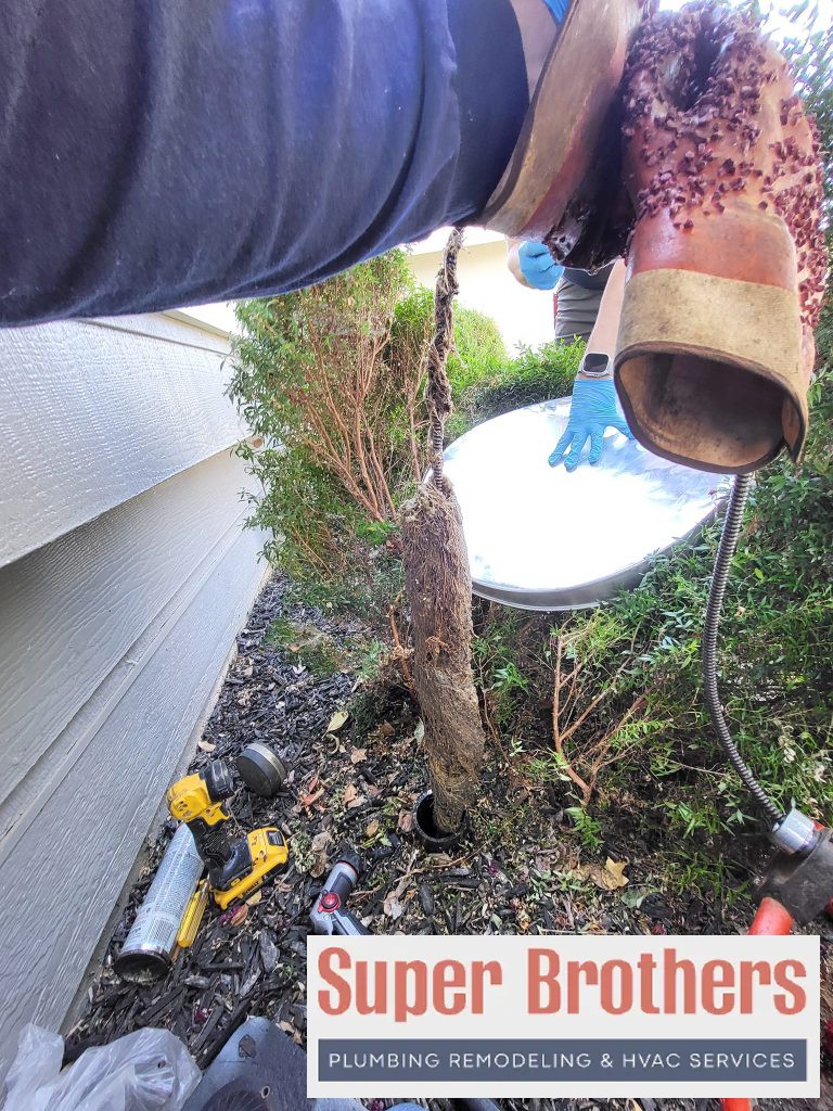 hydro jet sewer line to remove roots