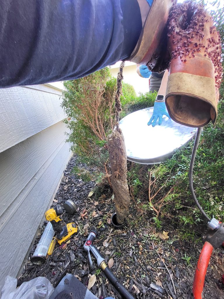 hydro jet sewer line to remove roots