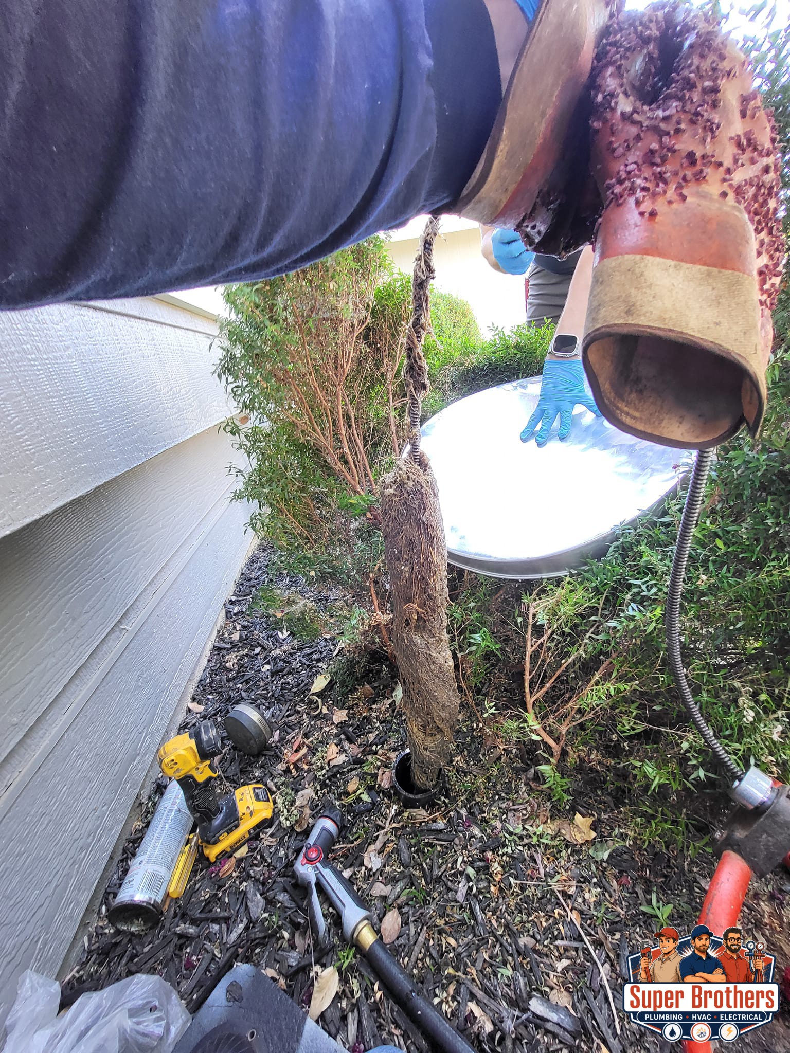 hydro jet sewer line to remove roots