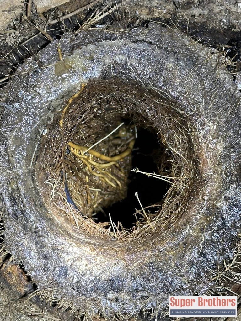 roots inside the sewer line