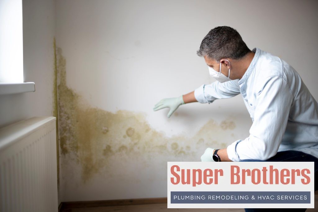 Dangerous Mold In the House