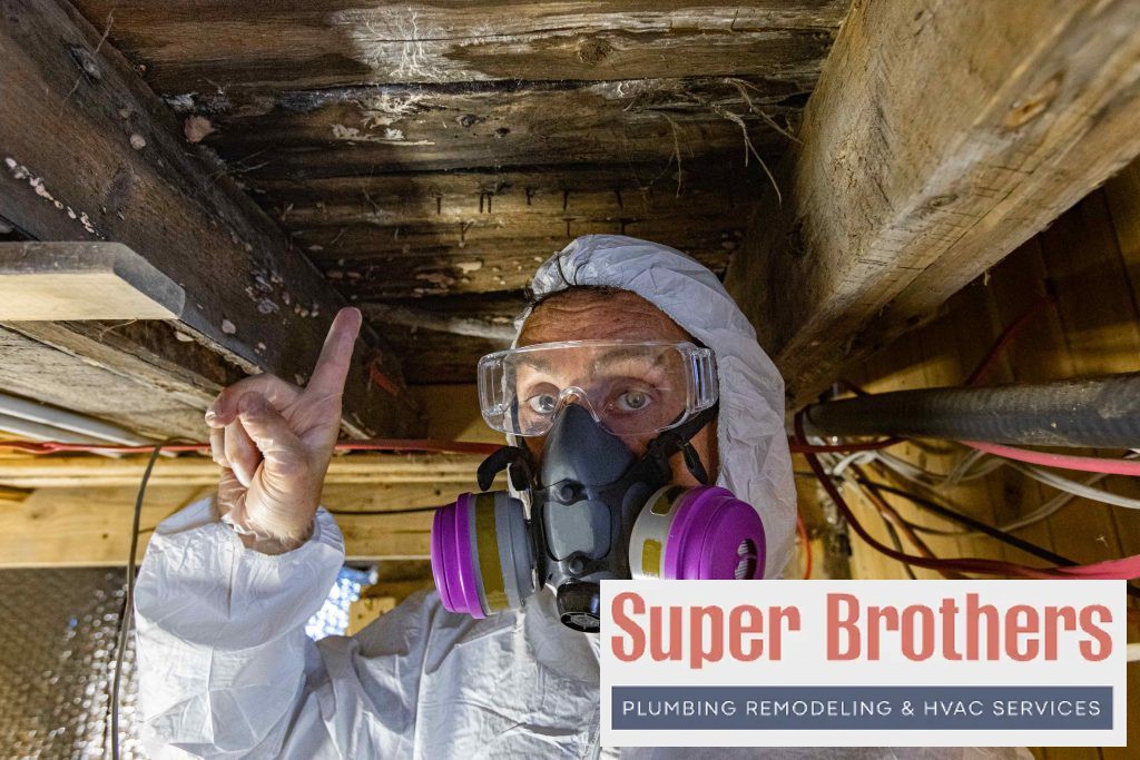 Mold Under The House