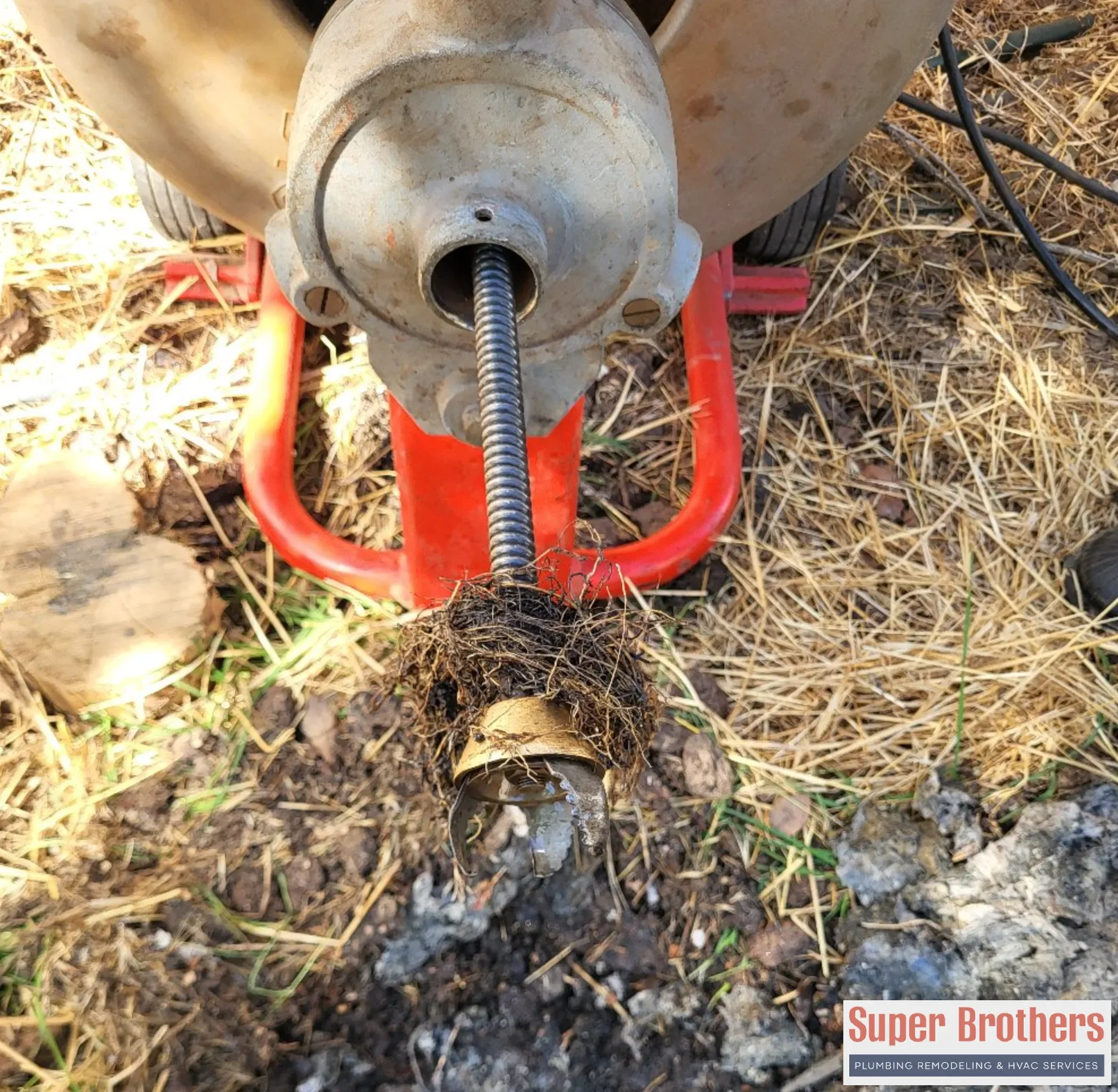 drain cleaning example, whats inside your pipes