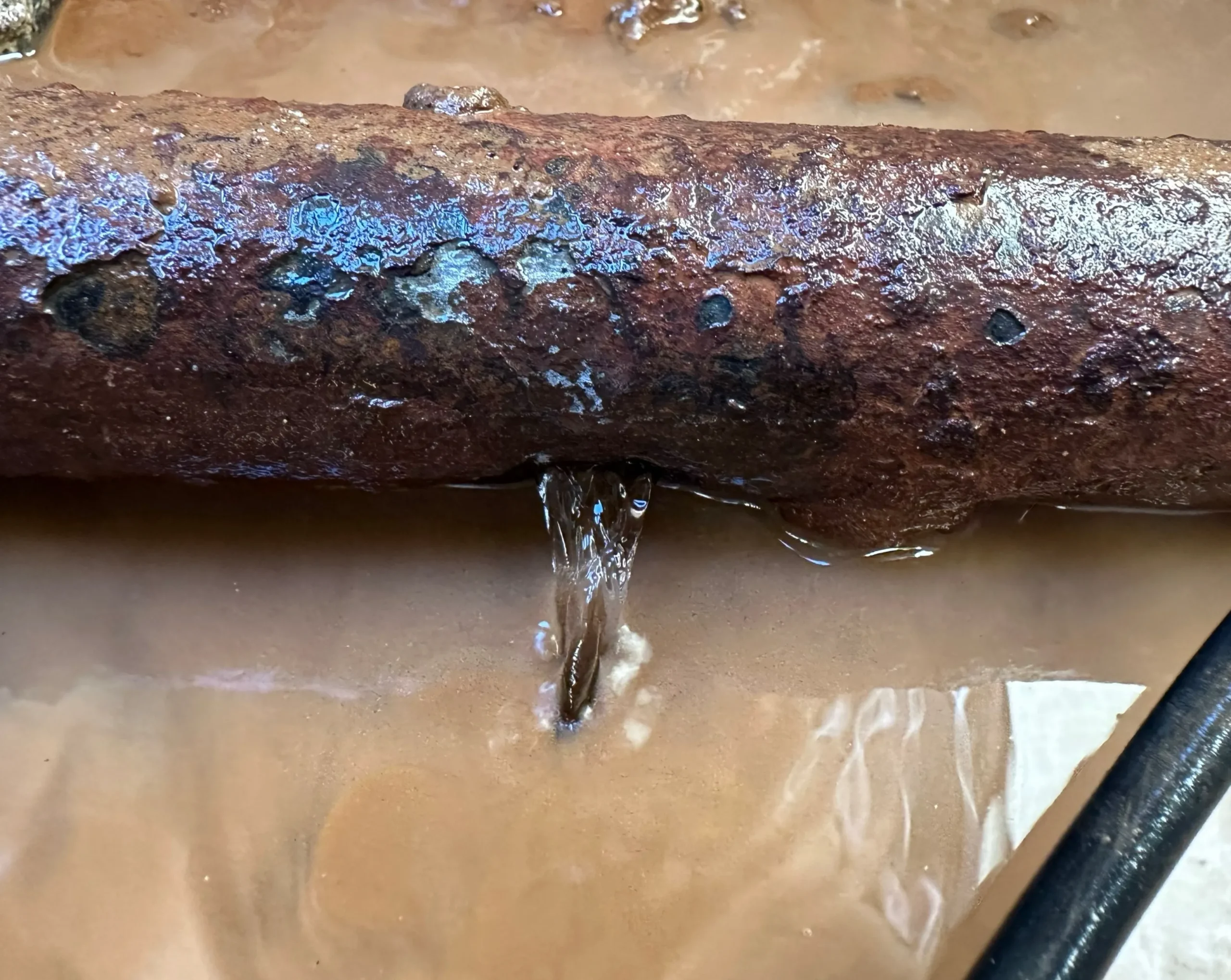 Cameron Park Drain Line Repipe